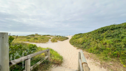 Image 58 - 748326