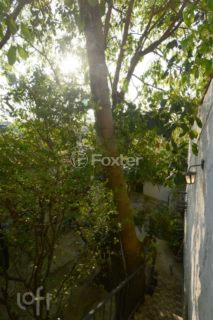 Image 46 - 749519