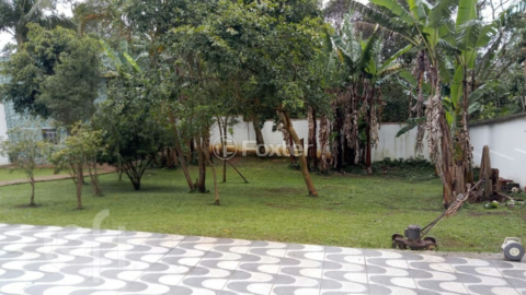 Image 13 - 750914
