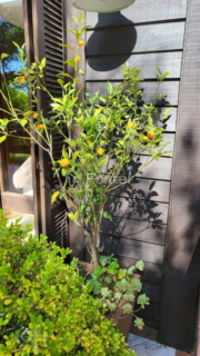 Image 9 - 755493