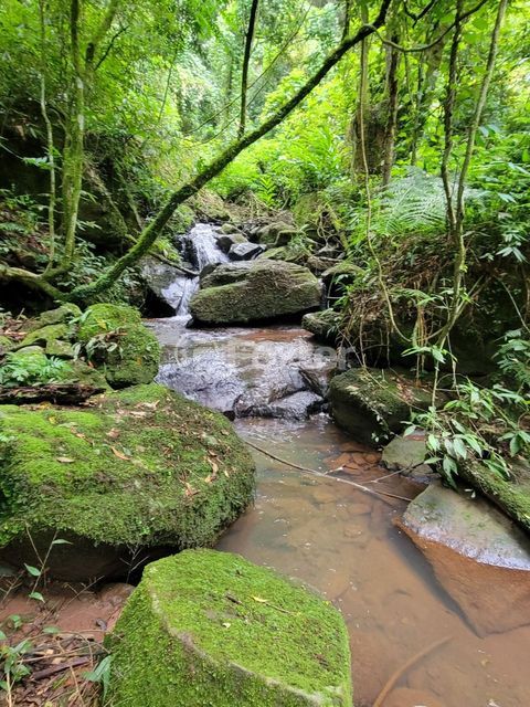 Image 10 - 811780