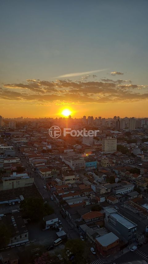 Image 33 - 811903