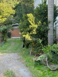 Image 9 - 812033