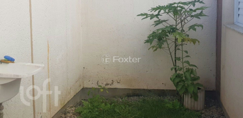 Image 5 - 812525