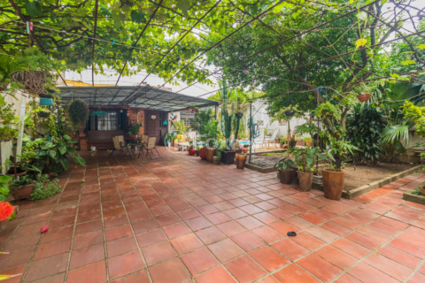 Image 3 - 816765