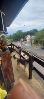 Image 8 - 816871