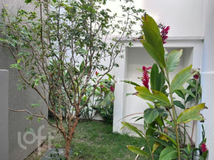 Image 16 - 816947