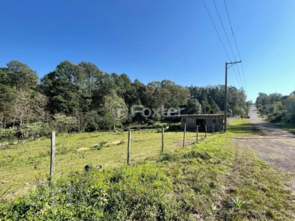 Image 35 - 818033