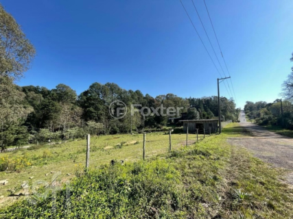 Image 32 - 818033