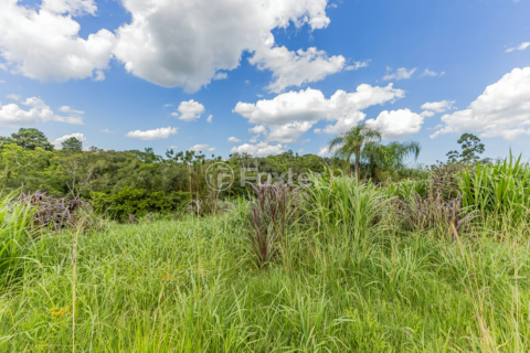 Image 9 - 818125