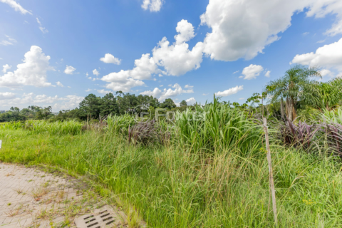 Image 7 - 818125