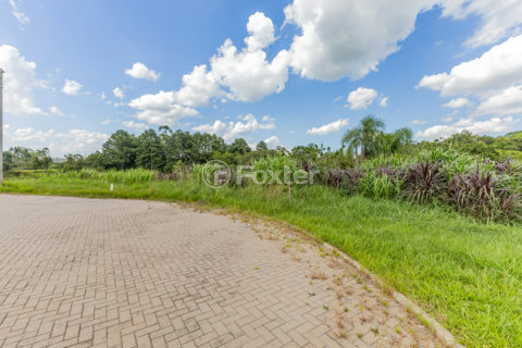 Image 6 - 818125
