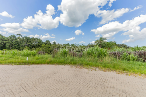 Image 4 - 818125