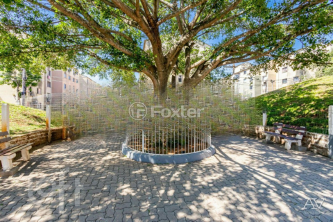 Image 6 - 818231