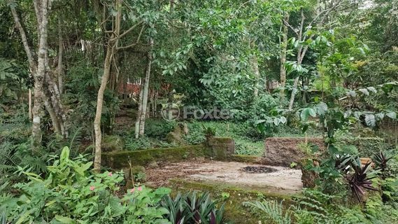 Image 9 - 818455