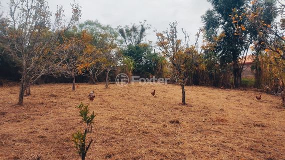Image 7 - 819869