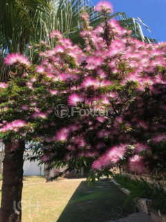 Image 4 - 825955