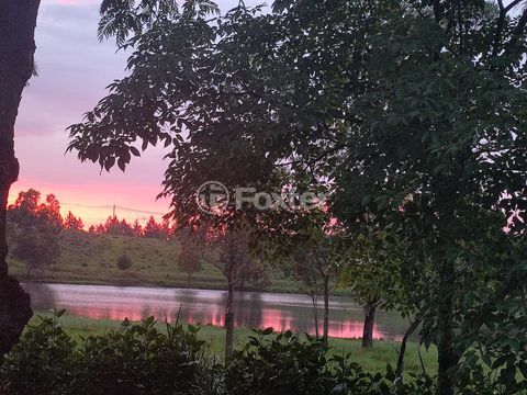 Image 28 - 826831