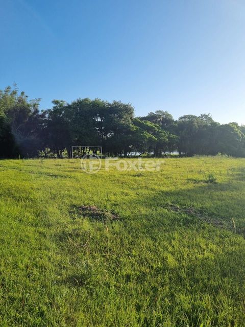 Image 32 - 826831