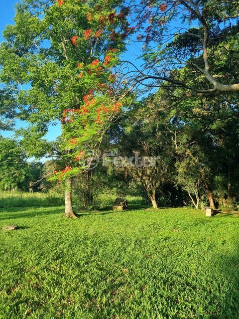 Image 72 - 826831