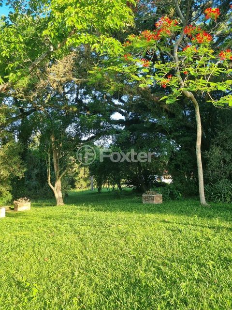 Image 67 - 826831