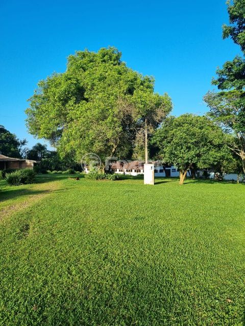 Image 61 - 826831