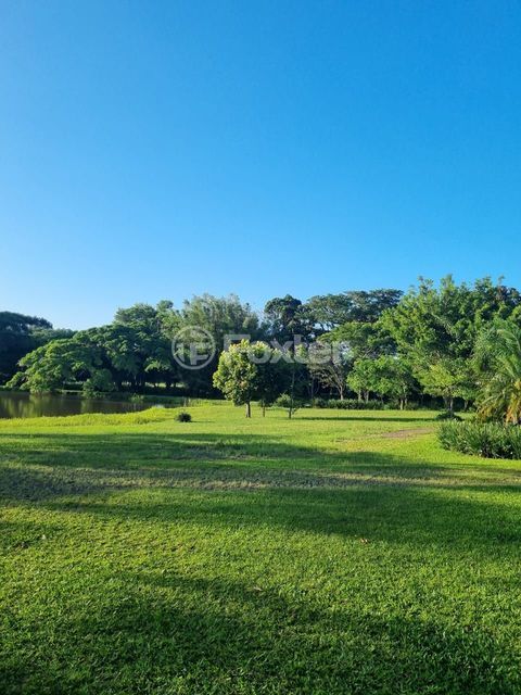 Image 30 - 826831