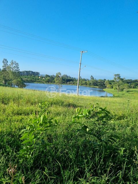 Image 39 - 826831