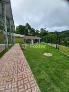Image 8 - 827461