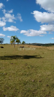 Image 8 - 830022