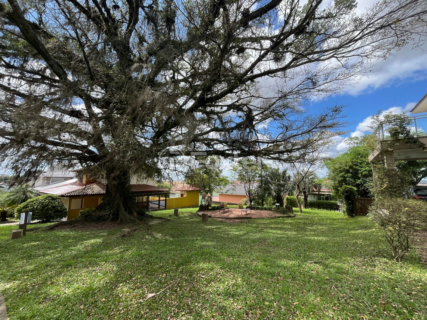 Image 38 - 831817