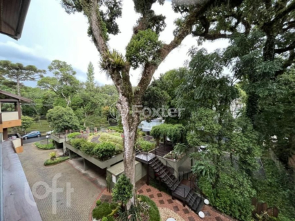 Image 8 - 833310