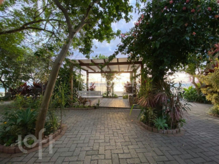 Image 68 - 833389