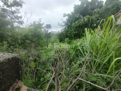 Image 4 - 834696