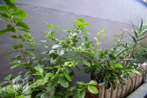 Image 19 - 838472
