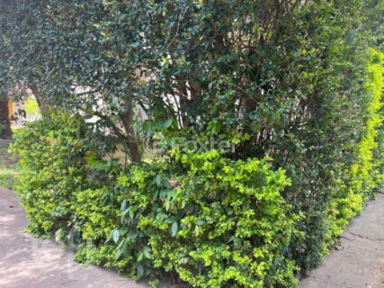 Image 34 - 840650