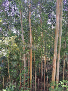 Image 21 - 842251