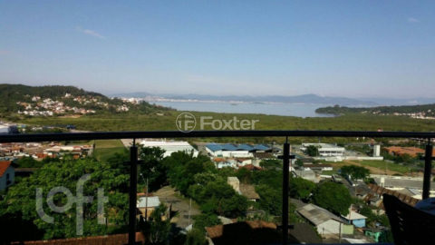 Image 6 - 842487