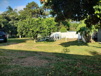 Image 7 - 842976