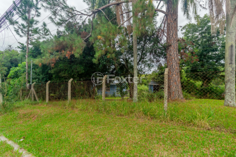 Image 41 - 844813