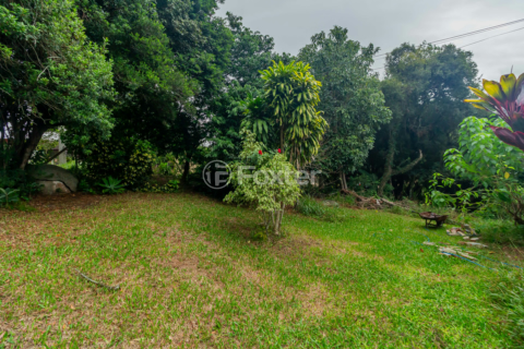 Image 35 - 844813