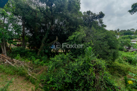 Image 7 - 844813