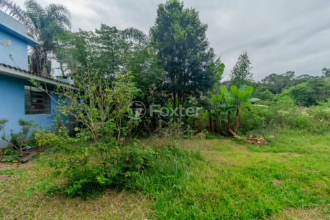 Image 31 - 844813