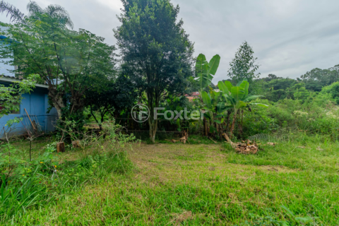 Image 33 - 844813