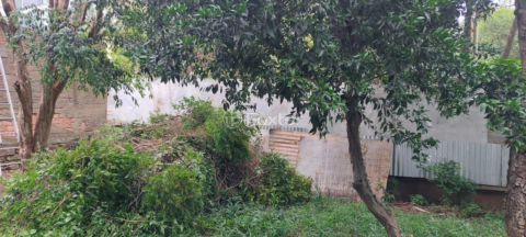 Image 3 - 845081