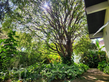 Image 21 - 845369
