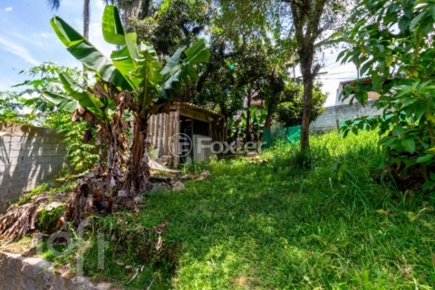 Image 6 - 847196