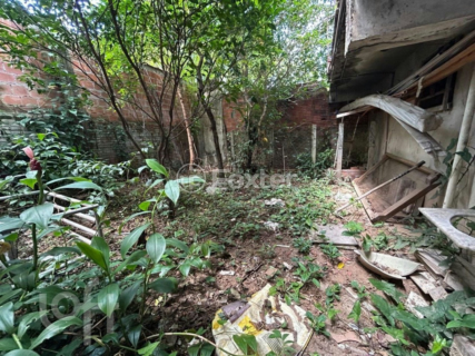 Image 36 - 847996