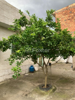 Image 55 - 848157