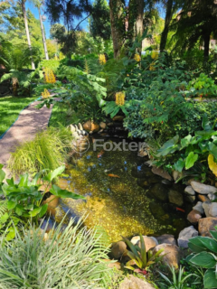Image 13 - 848768